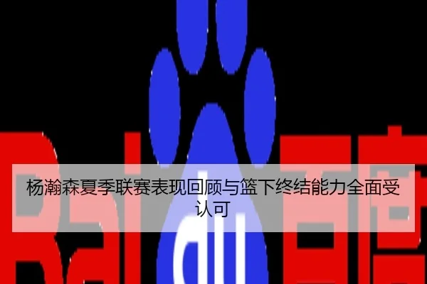 杨瀚森夏季联赛表现回顾与篮下终结能力全面受认可